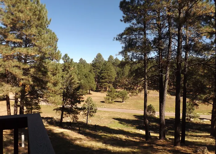 Arizona Mountain & 2* Flagstaff